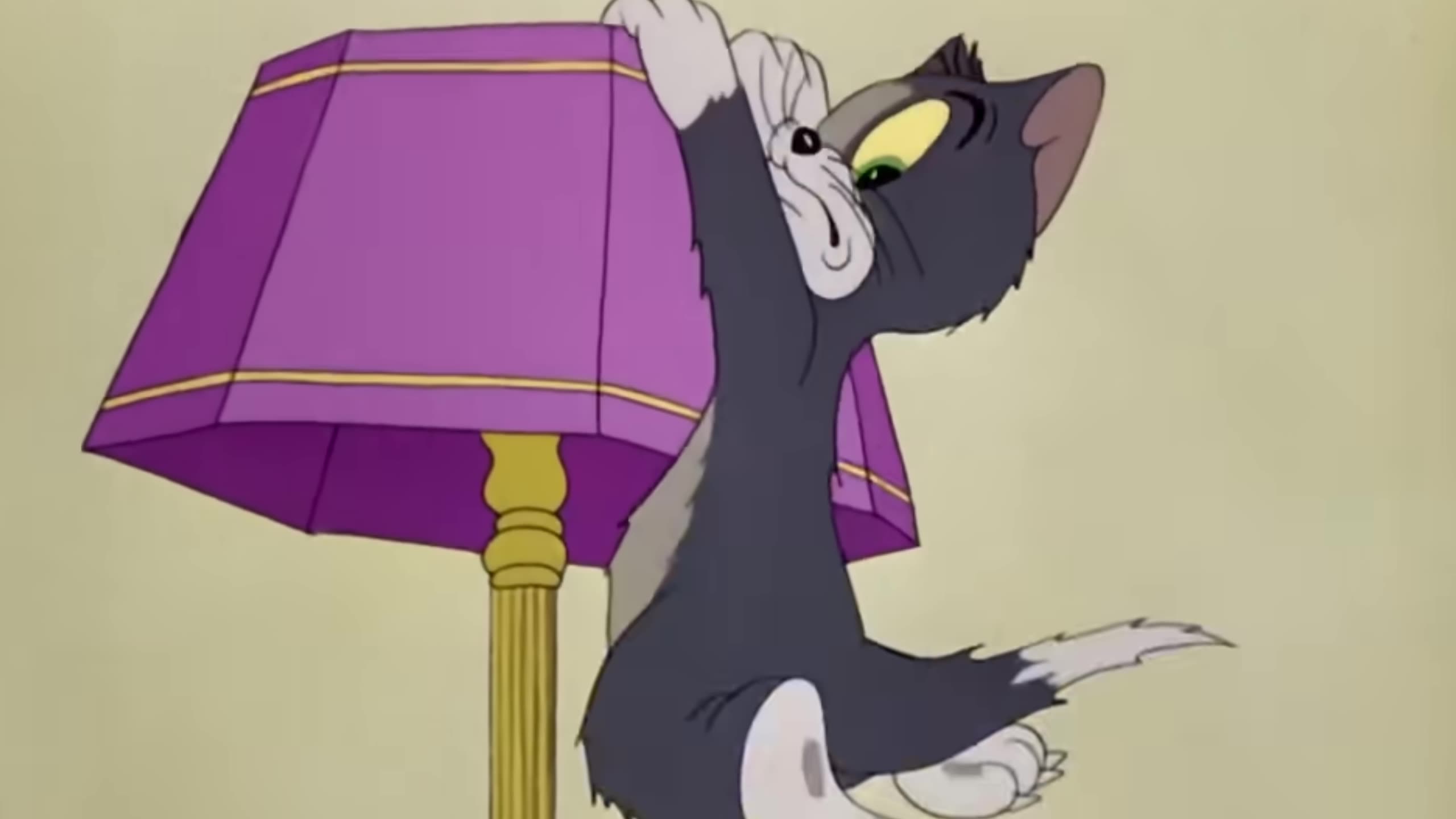 Tom and Jerry funny moments 😂😂 tom jerry fun funny