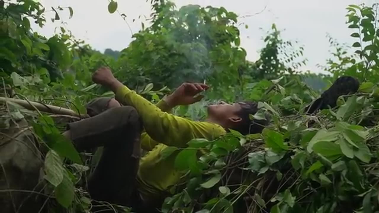 Primitive Technology: Amazing Process Catch A Giant HoneyBee For Food On The Big Tree