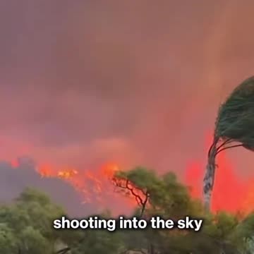 800 acres of the most expensive property in the United States has just been consumed by the fires