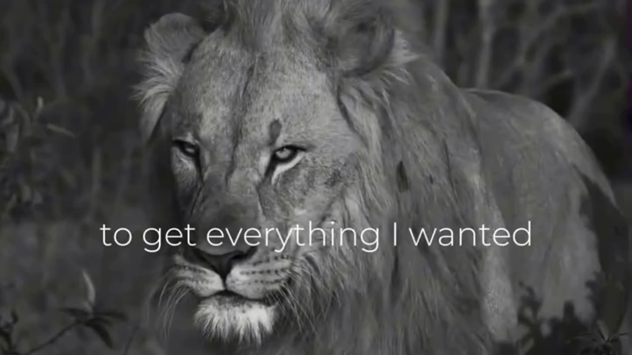 motivation