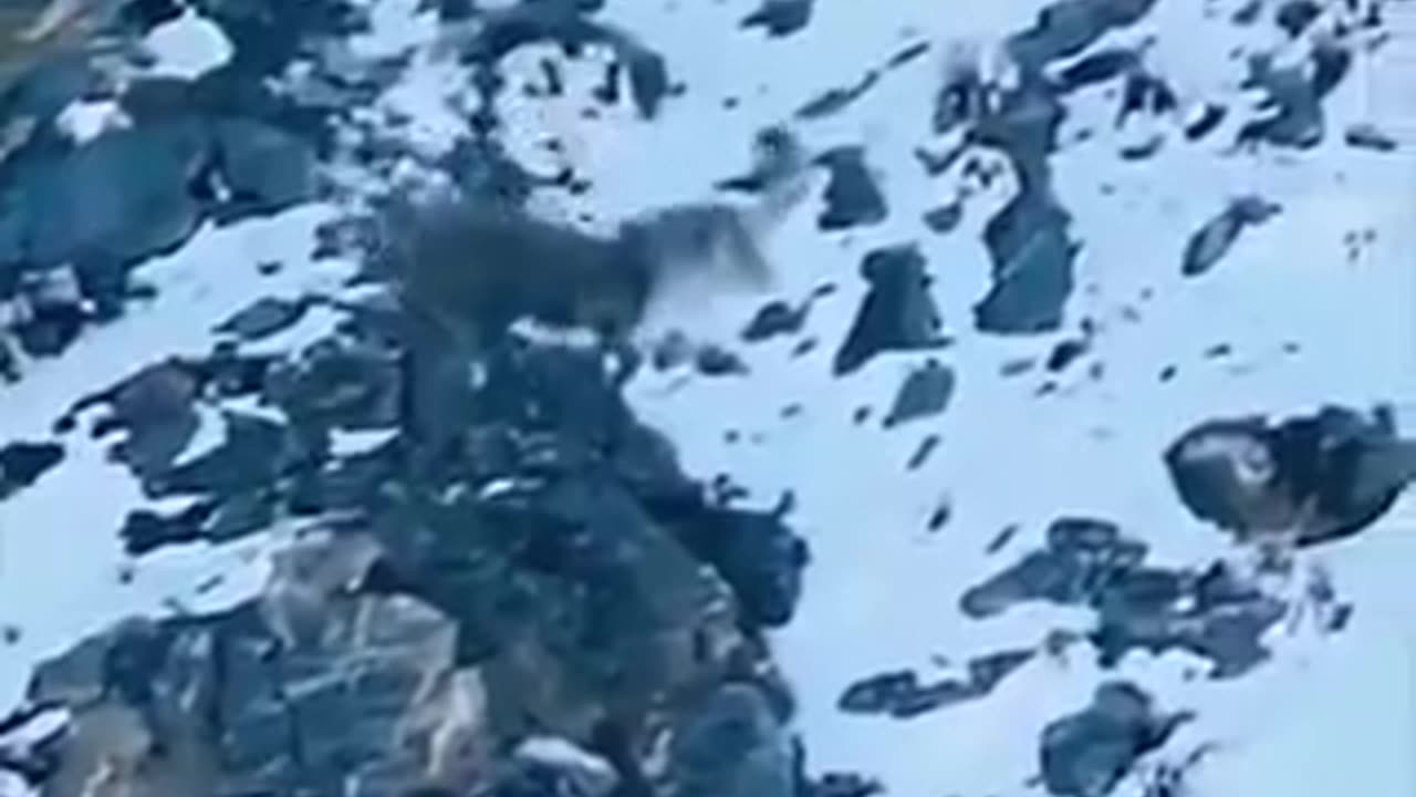 nature is horrible | crazy clips | hidden videos