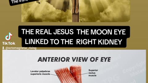 THE REAL CHRIST MOON EYE