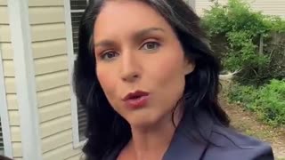 Tulsi Gabbard: "What the establishment media and politicians don’t want you to know"