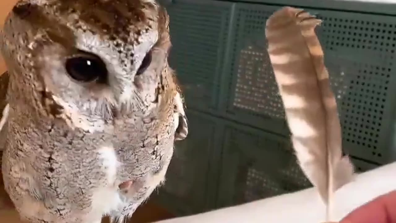 “What are you doing?” 😅