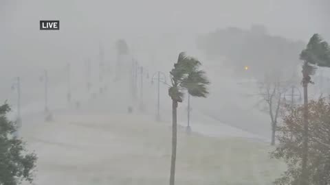 Near whiteout conditions during rare snowstorm in New Orleans, Louisiana