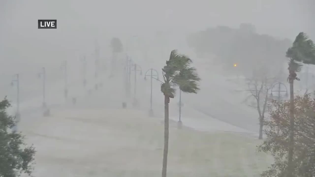 Near whiteout conditions during rare snowstorm in New Orleans, Louisiana