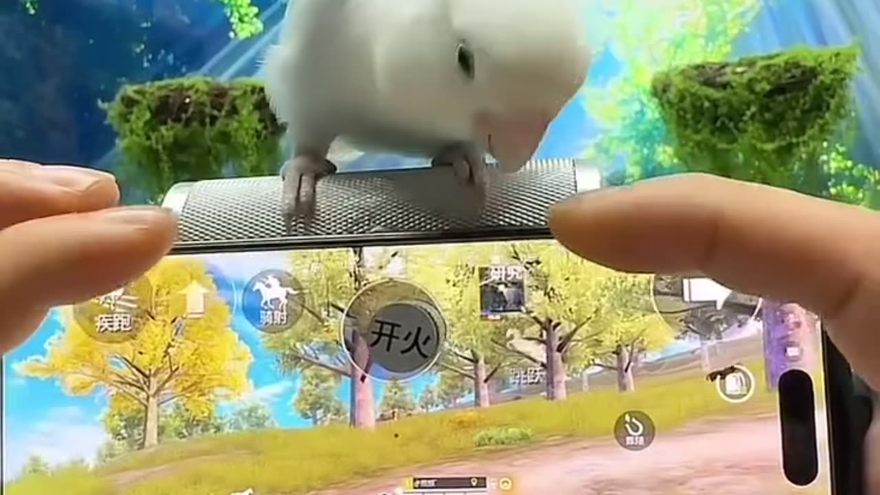 The trigger is in pro hand