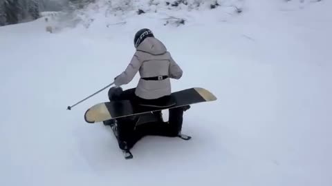 Ski + Snowboarder