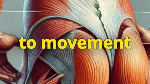 Caring for the Psoas Muscle