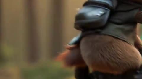 The beaver is riding an enduro motorcycle