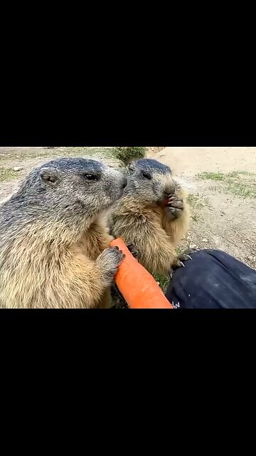 WHY WE NEED SPIRITUAL DISCERNMENT - DAILY DEVOTIONAL ❤️