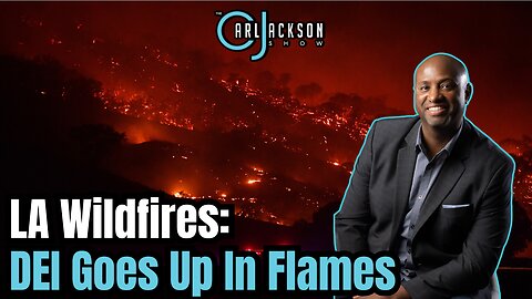 LA Wildfires: DEI Goes Up In Flames