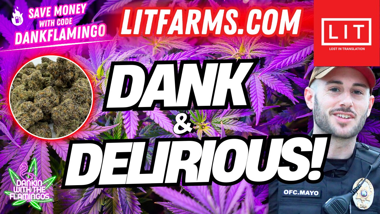 DANK & DELIRIOUS! Watching Patty Mayo & Smoking LIT FARMS! Dankin With The Flamingos Review!!