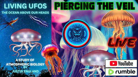 Living UFOS: The Oceans Above Our Heads with Justin England - Piercing the Viel
