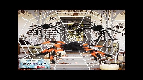 150/200cm Black Scary Giant Spider Huge Spider Web Halloween Decoration Props Haunted Review