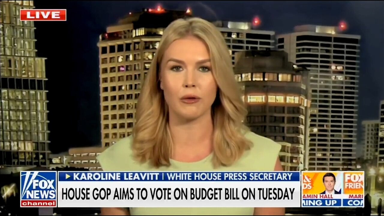 Karoline Leavitt: We Can't Allow Dems To Shut Down Govt