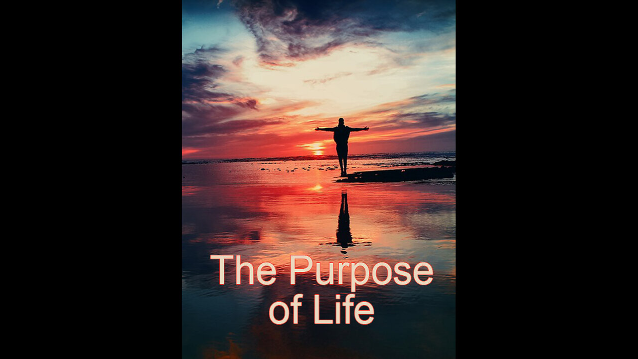What's the Purpose of Life? - Channel Intro