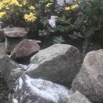Stones decorated with snow