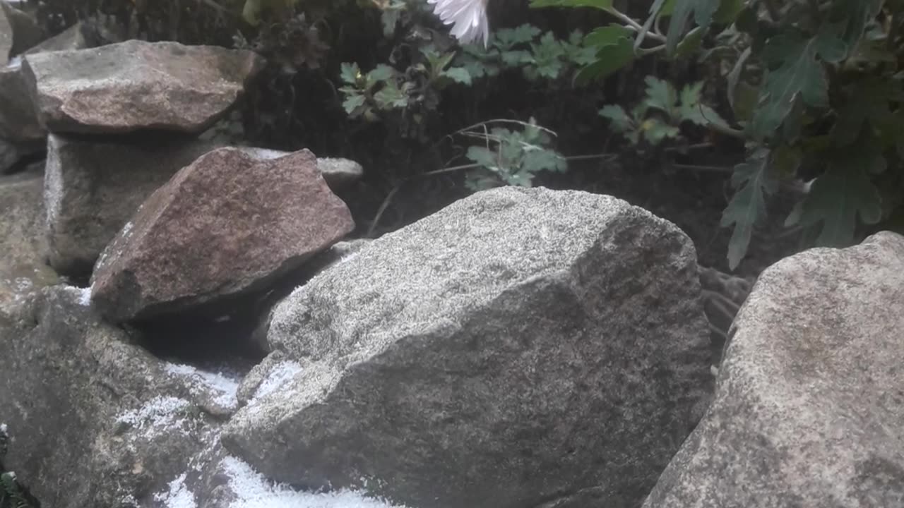 Stones decorated with snow