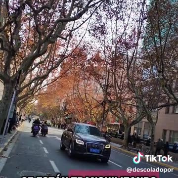 Pandemia en China? - Parte 11