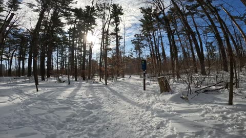 ❄️2025☃️-31🎿 Winter Edition Hiking Mud Lake Trails Part 1 In Ottawa Ontario🍁Canada 🦧