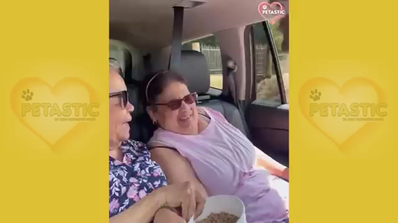 Unexpected ANIMALS Attack on Humans - Funny Animals Moments
