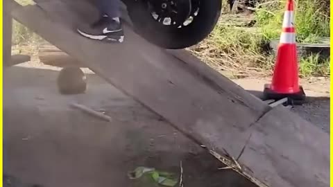 Funny video