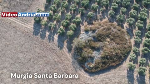 Andria: su Monte Savignano i resti di un'altra città perduta risalente a migliaia di anni fa