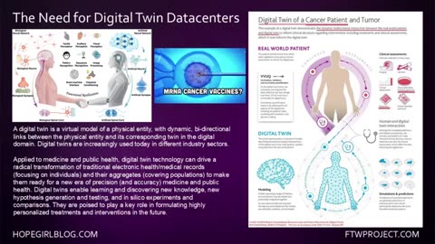 Digital Twin