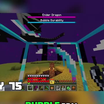Unbelievable Dragon Battle: One-Hit Victory with Enderman