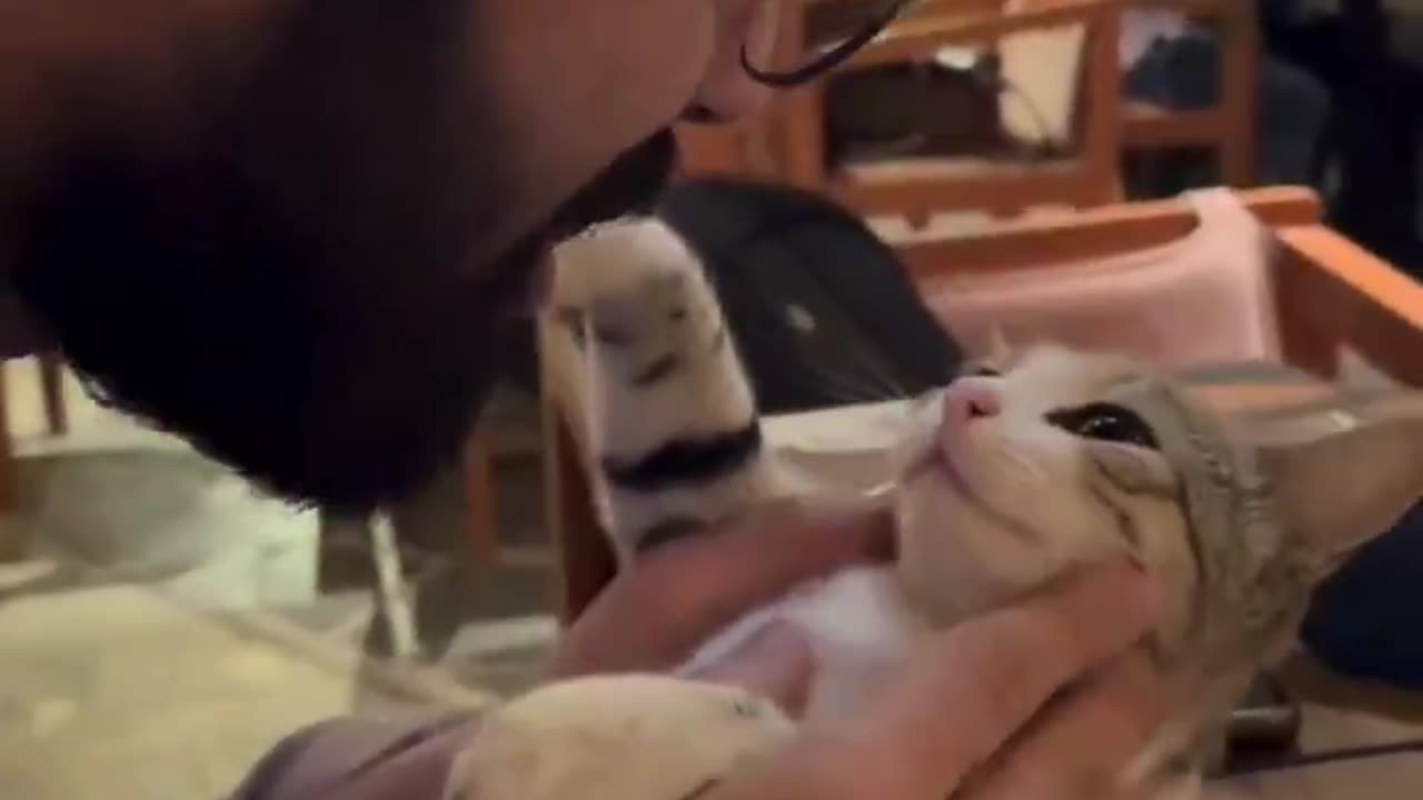 this is the purest form of love right here