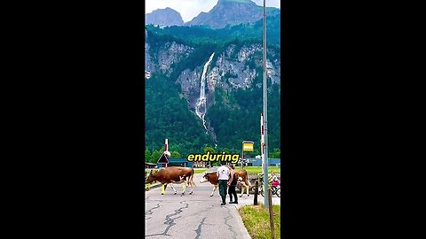 The Majestic Cow Parade 🐄🏔️ Shorts #viral #swiss #facts