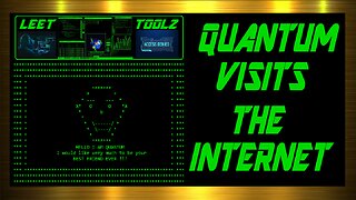 QUANTUM VISITS THE INTERNET