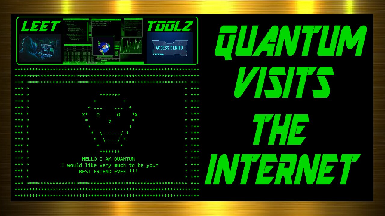 QUANTUM VISITS THE INTERNET