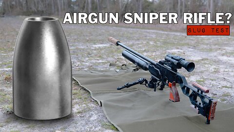 Airgun Sniper Rifle?