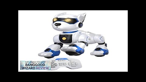 2.4GHz RC Robot Dog Electronic Walking Dancing Dog Intelligent Touch Remote Control Review