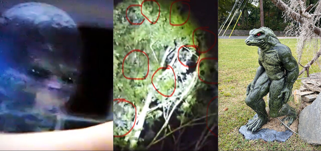 SOUTH CAROLINA MAN TERRORIZED BY UNSEEN FORCES-ORBS? ALIENS? BIGFOOT? REPTILIANS?