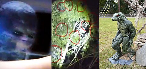 SOUTH CAROLINA MAN TERRORIZED BY UNSEEN FORCES-ORBS? ALIENS? BIGFOOT? REPTILIANS?