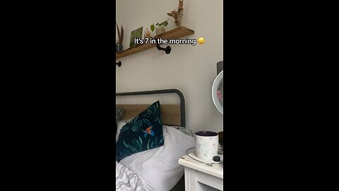 Imagine your bird do that every morning