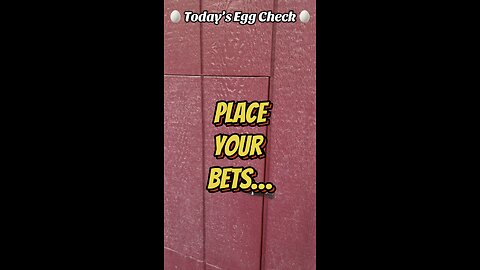 🥚 Today’s Egg Check! 🥚 #shorts