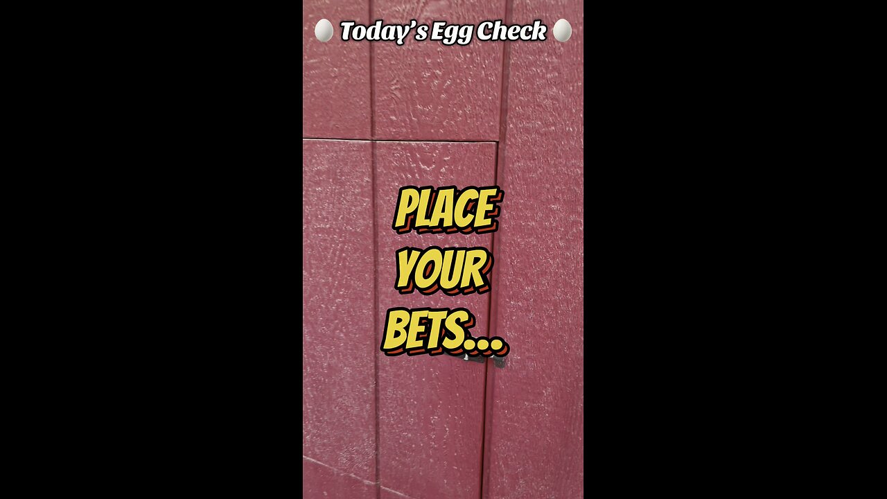 🥚 Today’s Egg Check! 🥚 #shorts