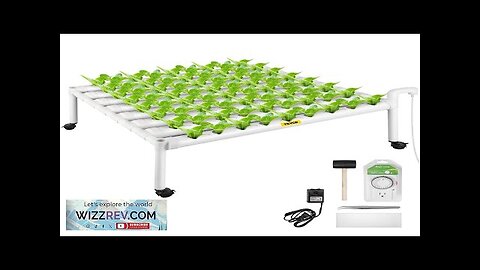 VEVOR Hydroponics Growing System 72 Sites 8 Food-Grade PVC-U Pipes 1 Layer Review