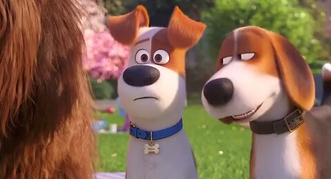 The Secret Life Of Pets 2 (2019) - Opening Scene (HD)