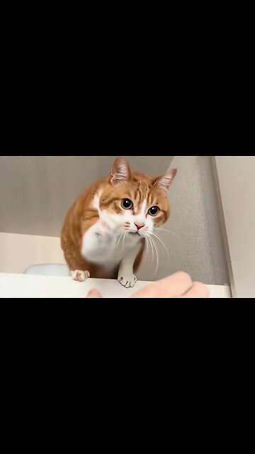 This is the cutest sound. Listen carefully