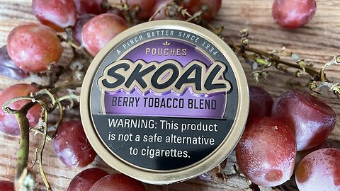 Skoal Berry Pouches Dip Review