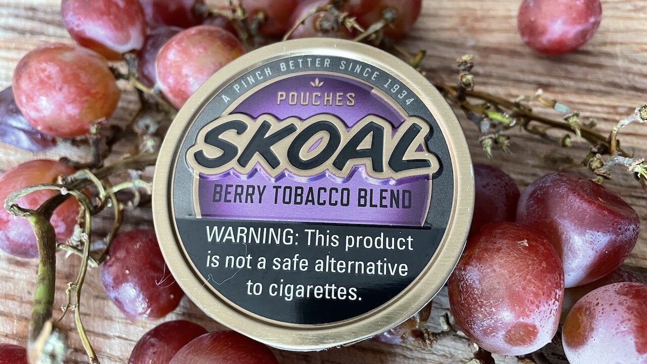 Skoal Berry Pouches Dip Review