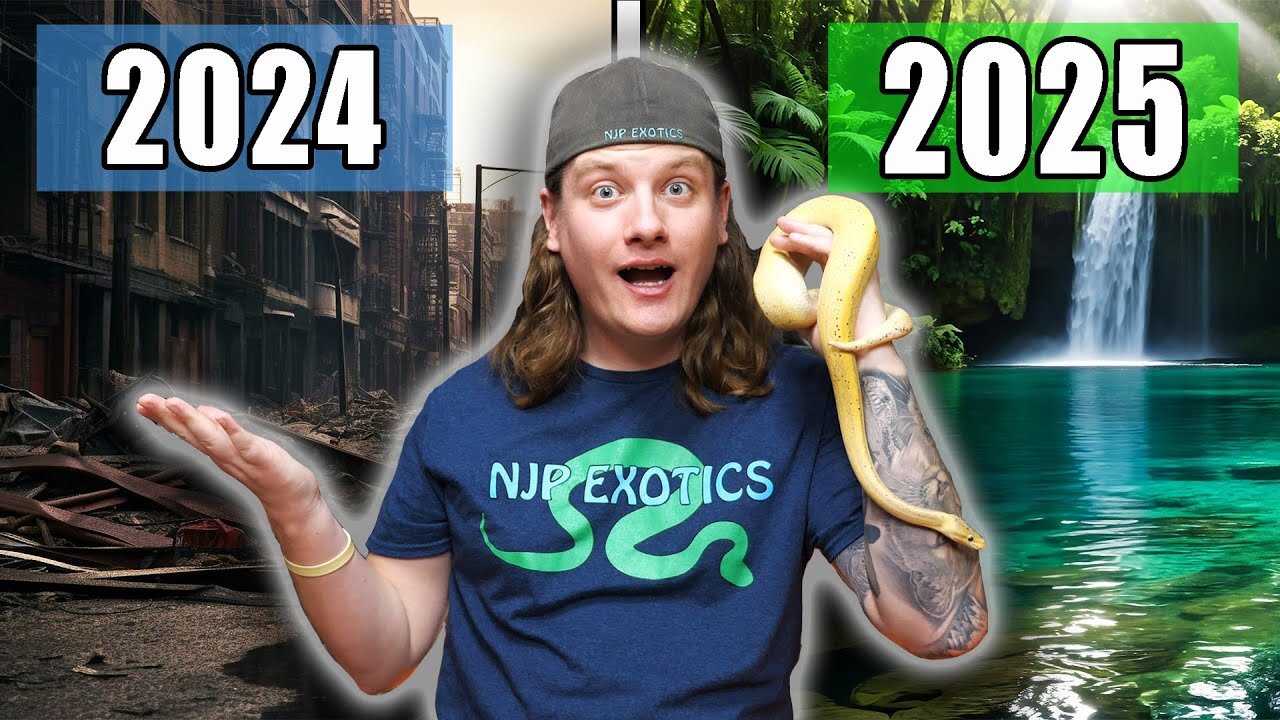 Reptile Resolutions for 2025!