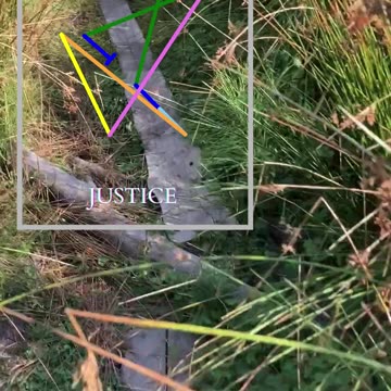 Moments Of Offer | Path and Tarot Reading