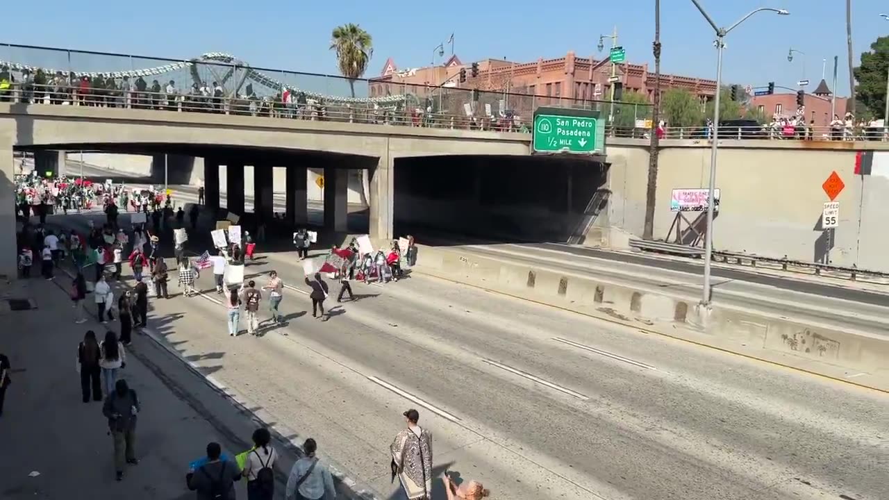 ANTI-ICE PROTESTERS SHUT DOWN 101 FREEWAY IN LA—GRINDING TRAFFIC TO A HALT