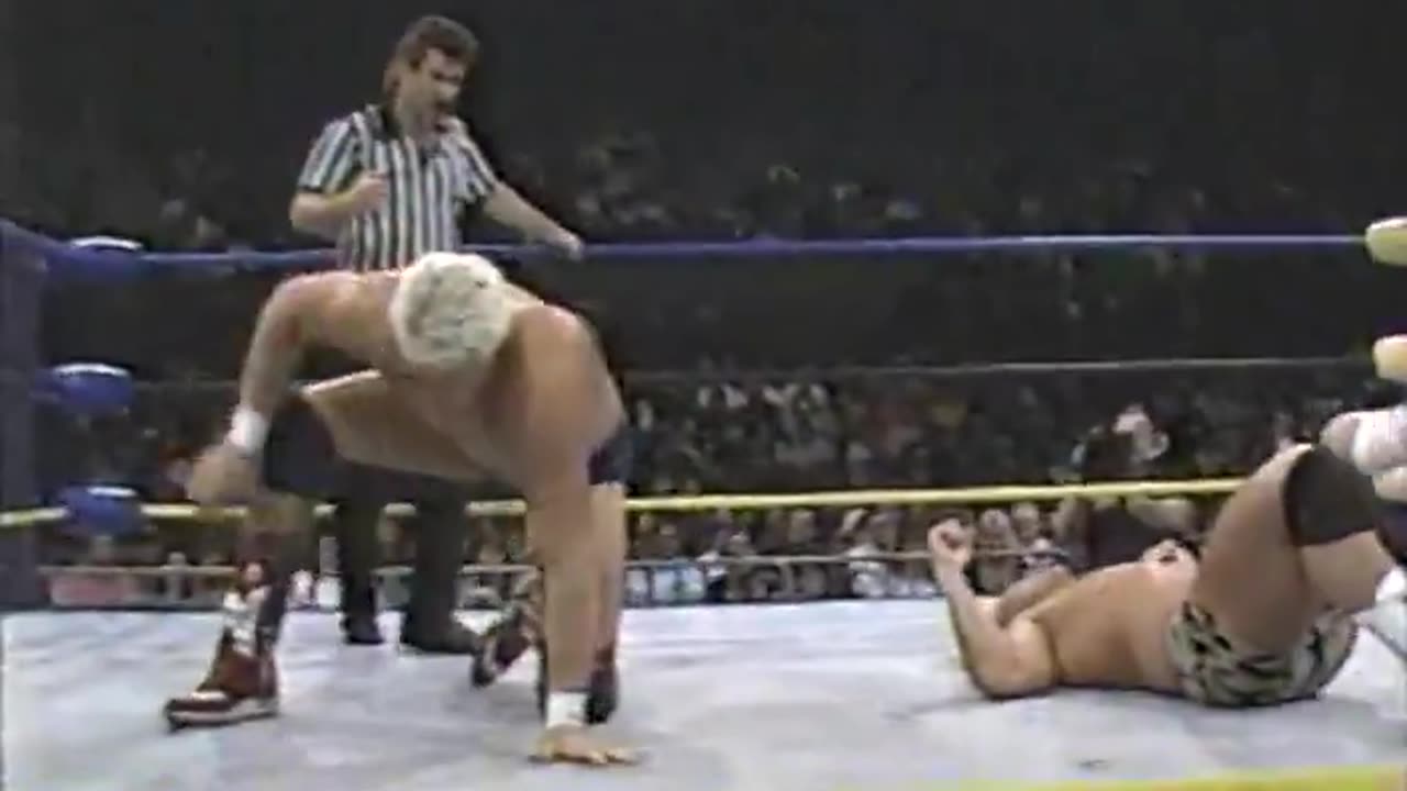 (1992.01.25) "Stunning" Steve Austin vs Dustin Rhodes - WCW